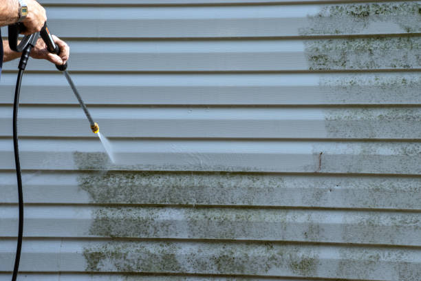 Affordable Siding Repair and Maintenance Services in Grand Terrace, CA